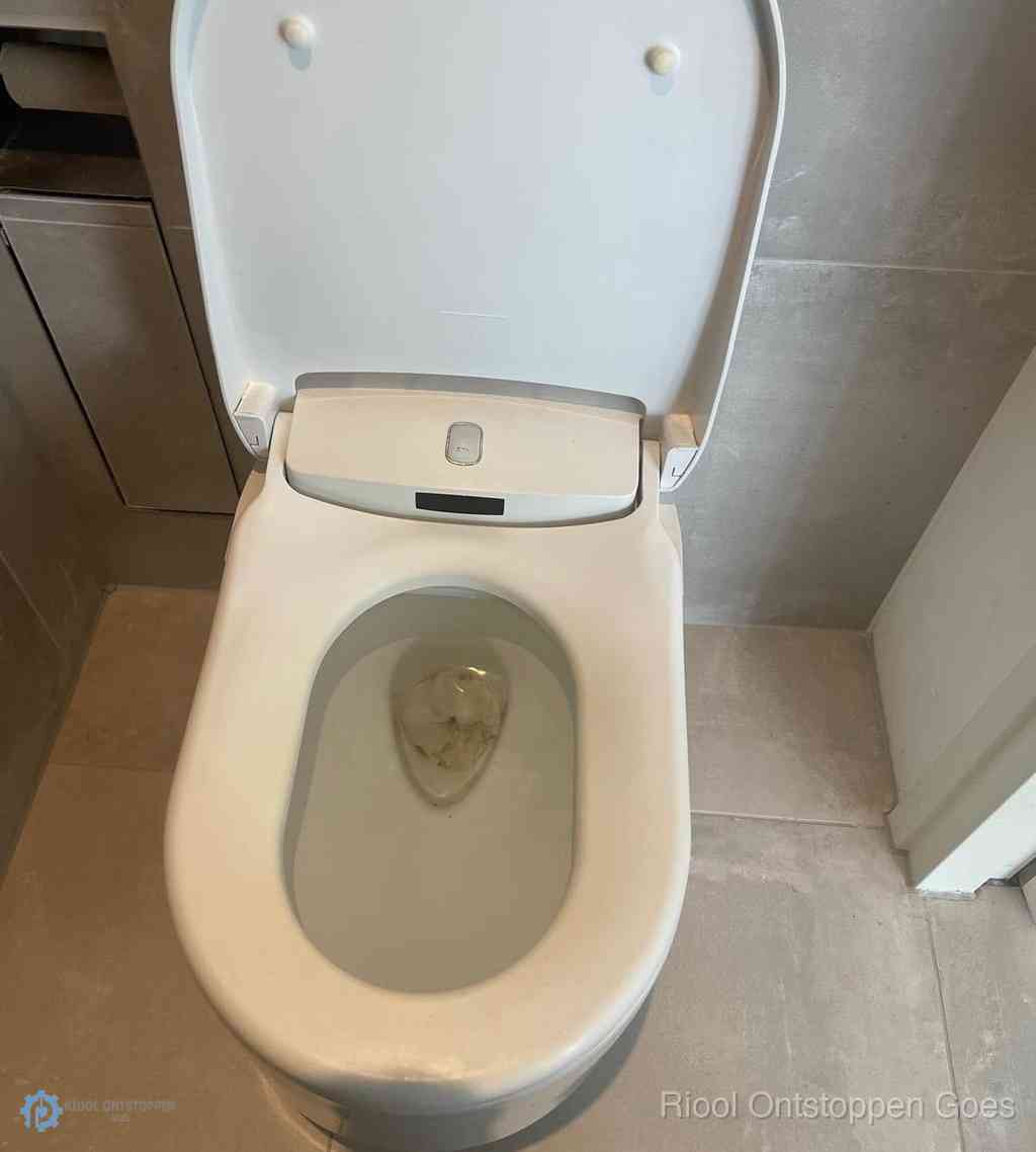 Toilet Ontstoppen Goes